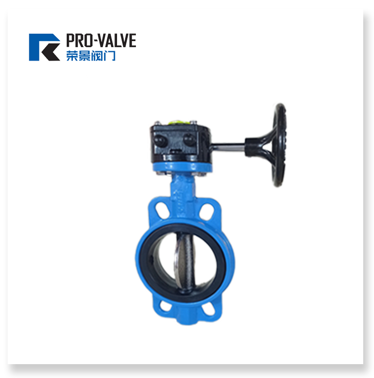 Wafer type butterfly valve with gear box