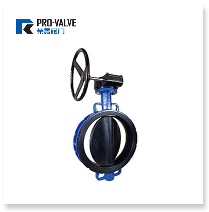 All-inclusive plastic butterfly valve