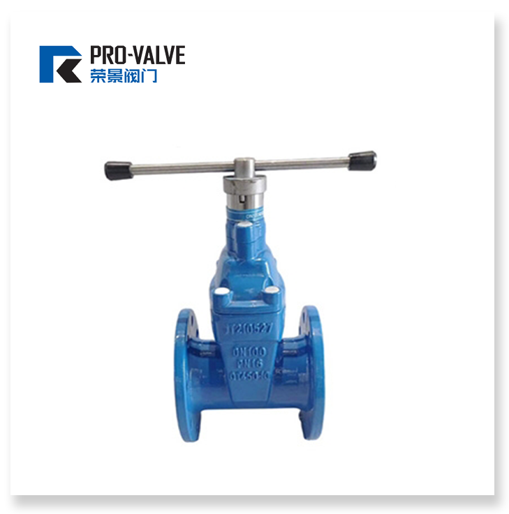 Resilient seated gate valve - magnetic lock