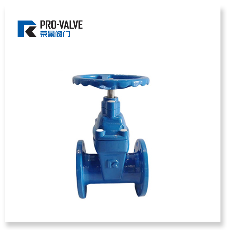 BS5163 resilient seated gate valve