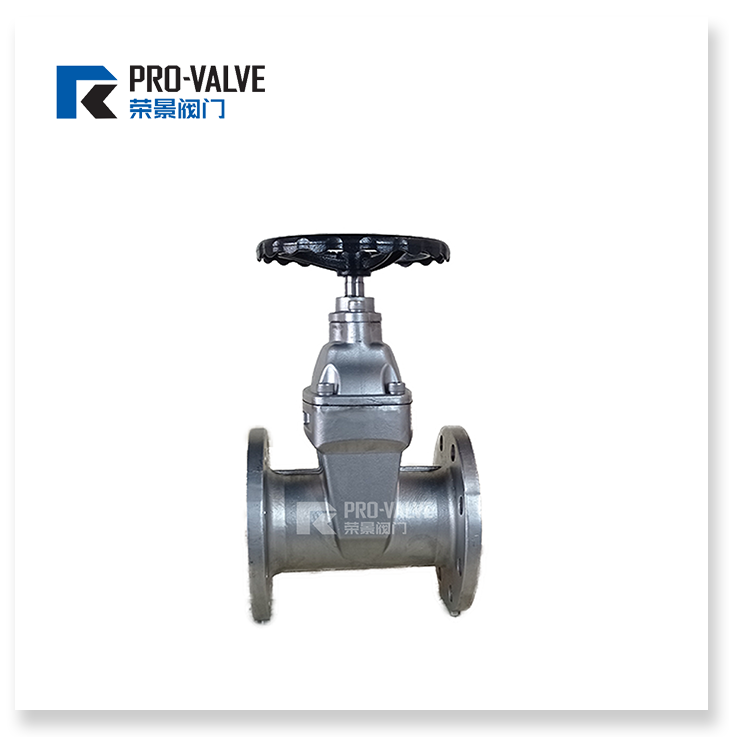 Stainless steel resilient seated gate valve